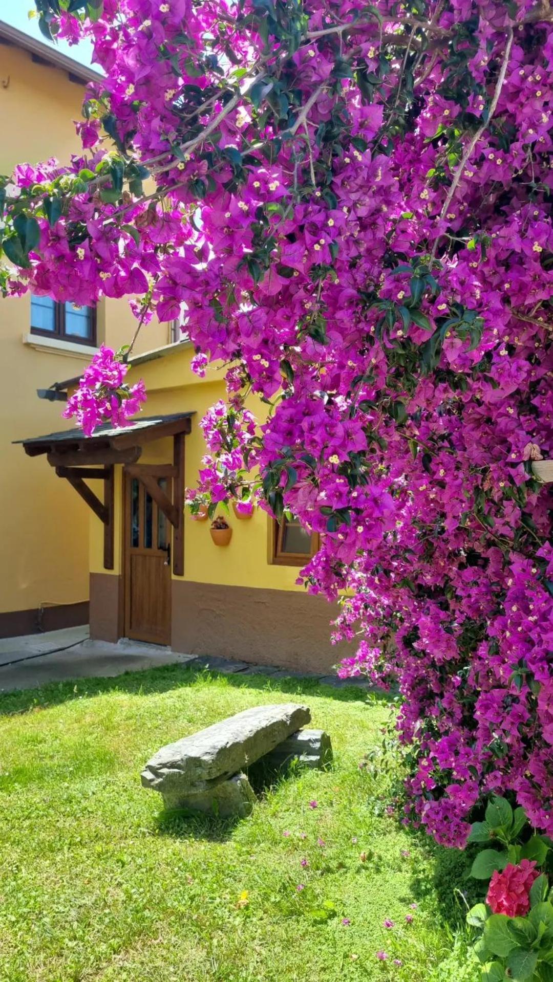 La Quintana De Figares Apartment Luarca Ngoại thất bức ảnh